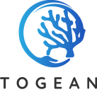 Togean Foundation.png